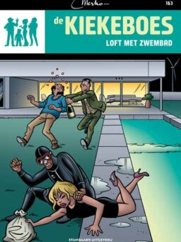 Kiekeboes 163, loft met zwembad